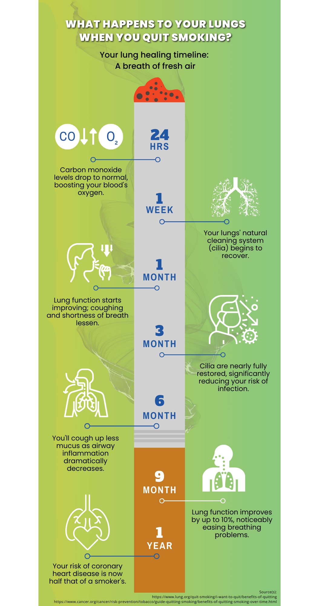 What Happens to Your Lungs When You Quit Smoking Dark